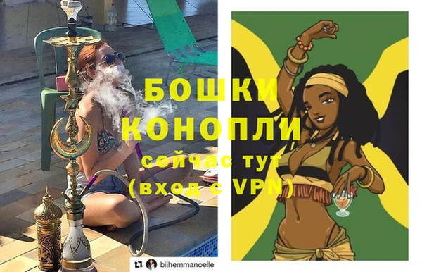 сатива Кулебаки