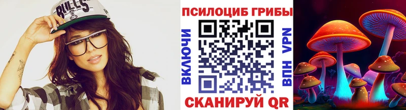 где купить   Спас-Клепики  Псилоцибиновые грибы Psilocybe 
